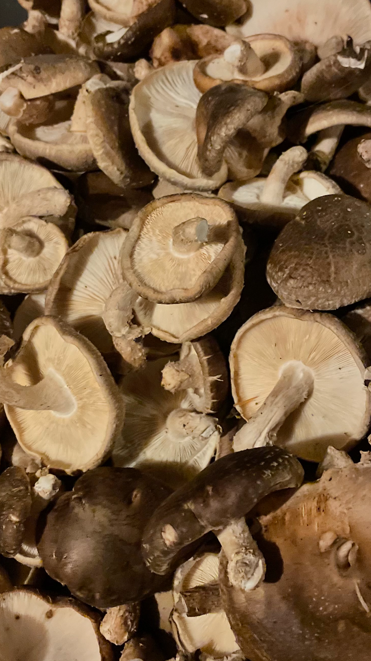 Freeze Dried Vegetables