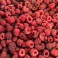 Freeze-Dried Raspberries