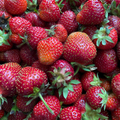 Freeze-Dried Strawberries