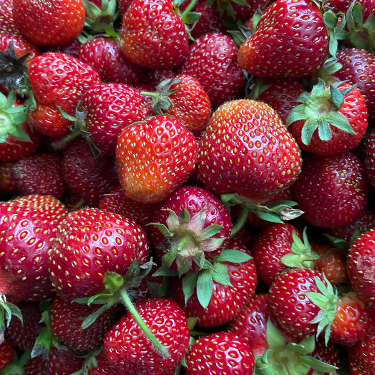 Freeze-Dried Strawberries